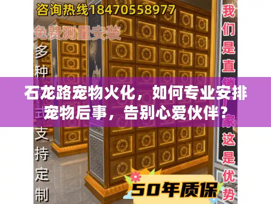 石龙路宠物火化，如何专业安排宠物后事，告别心爱伙伴？