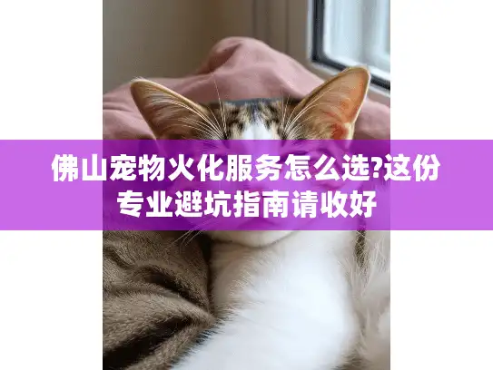 佛山宠物火化服务怎么选?这份专业避坑指南请收好