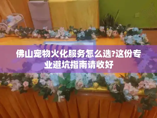 佛山宠物火化服务怎么选?这份专业避坑指南请收好