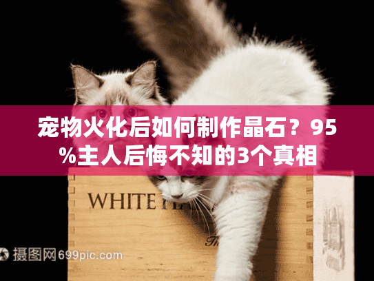 宠物火化后如何制作晶石？95%主人后悔不知的3个真相