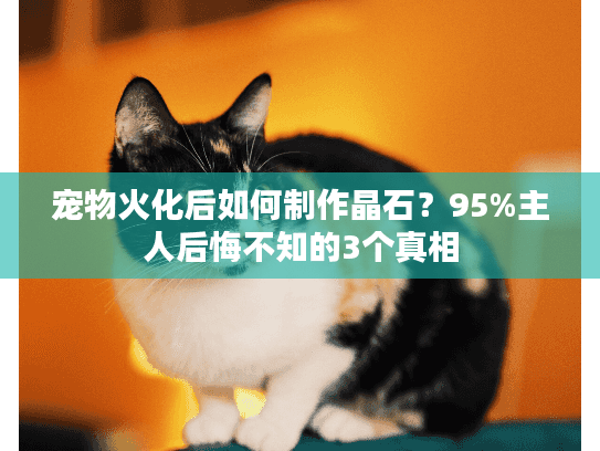 宠物火化后如何制作晶石？95%主人后悔不知的3个真相
