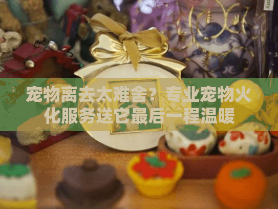 宠物离去太难舍？专业宠物火化服务送它最后一程温暖