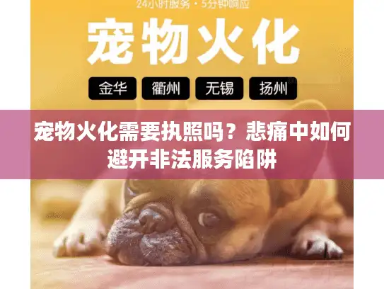 宠物火化需要执照吗？悲痛中如何避开非法服务陷阱