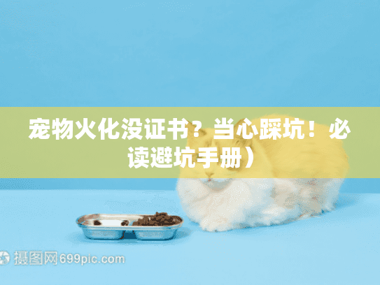 宠物火化没证书？当心踩坑！必读避坑手册）