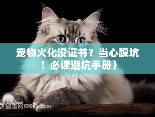 宠物火化没证书？当心踩坑！必读避坑手册）