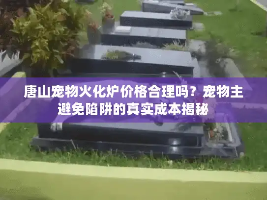 唐山宠物火化炉价格合理吗？宠物主避免陷阱的真实成本揭秘