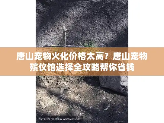 唐山宠物火化价格太高？唐山宠物殡仪馆选择全攻略帮你省钱