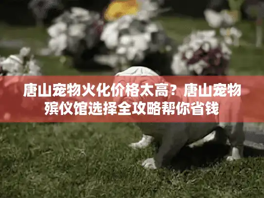 唐山宠物火化价格太高？唐山宠物殡仪馆选择全攻略帮你省钱