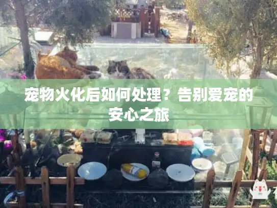 宠物火化后如何处理？告别爱宠的安心之旅