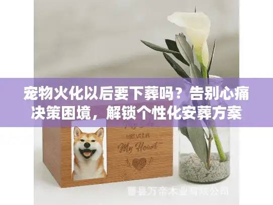 宠物火化以后要下葬吗?告别心痛决策困境,解锁个性化安葬方案 宠物火化以后要下葬吗?告别心痛决策困境,解锁个性化安葬方案