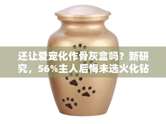 还让爱宠化作骨灰盒吗？新研究，56%主人后悔未选火化钻石