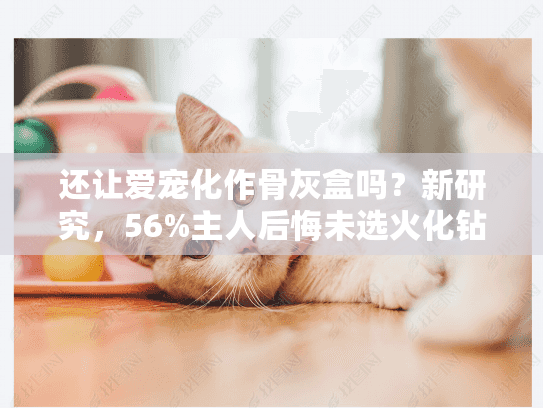 还让爱宠化作骨灰盒吗？新研究，56%主人后悔未选火化钻石