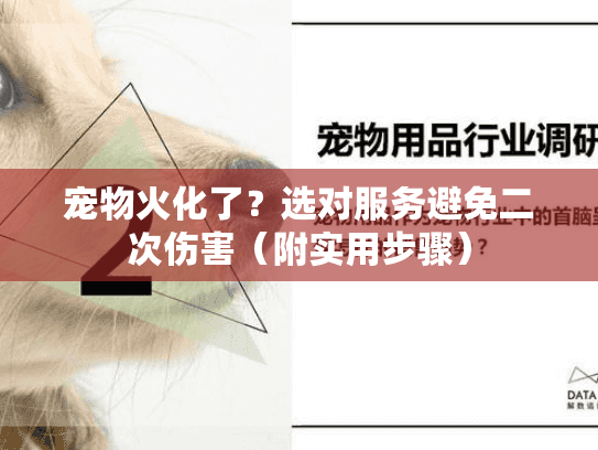 宠物火化了?选对服务避免二次伤害(附实用步骤) 宠物火化了?选对服务避免二次伤害(附实用步骤)