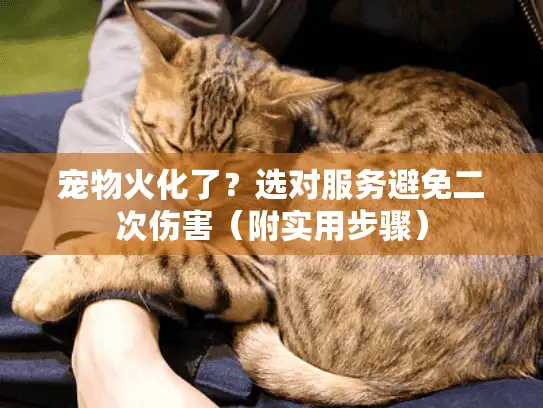 宠物火化了?选对服务避免二次伤害(附实用步骤) 宠物火化了?选对服务避免二次伤害(附实用步骤)