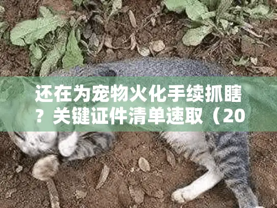 还在为宠物火化手续抓瞎？关键证件清单速取（2025最新版）
