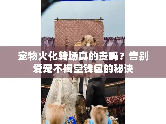 宠物火化转场真的贵吗？告别爱宠不掏空钱包的秘诀