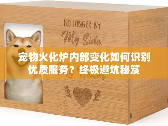 宠物火化炉内部变化如何识别优质服务？终极避坑秘笈