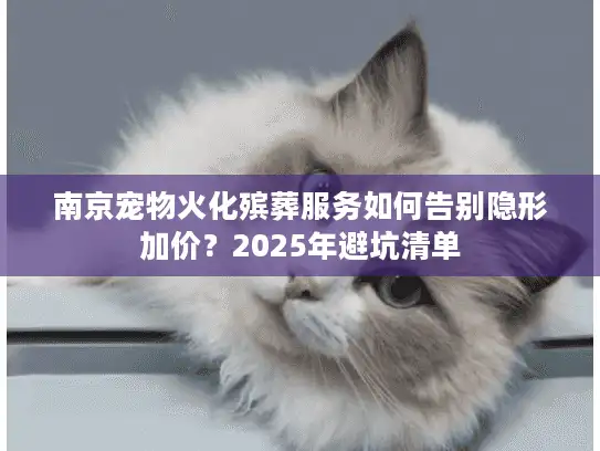南京宠物火化殡葬服务如何告别隐形加价？2025年避坑清单