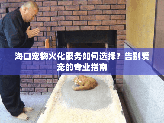 海口宠物火化服务如何选择?告别爱宠的专业指南 海口宠物火化服务如何选择?告别爱宠的专业指南
