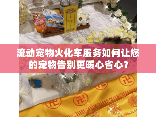 流动宠物火化车服务如何让您的宠物告别更暖心省心？