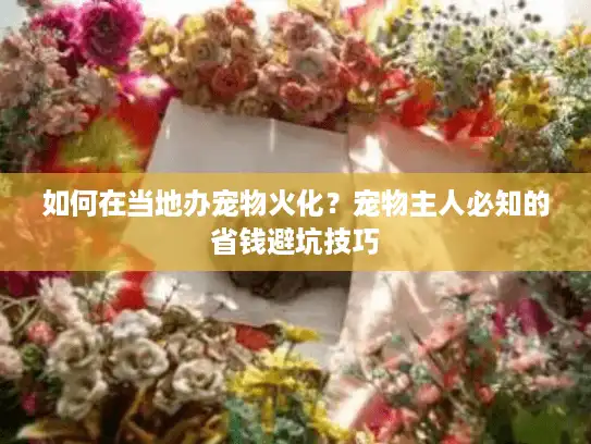 如何在当地办宠物火化？宠物主人必知的省钱避坑技巧