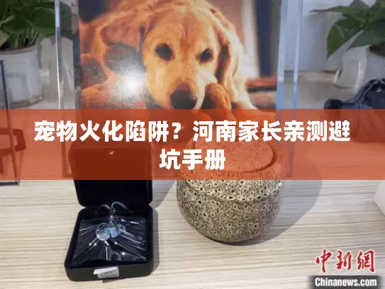 宠物火化陷阱?河南家长亲测避坑手册 宠物火化陷阱?河南家长亲测避坑手册