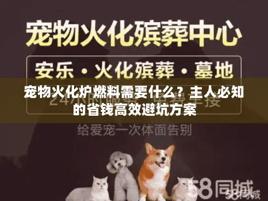 宠物火化炉燃料需要什么？主人必知的省钱高效避坑方案