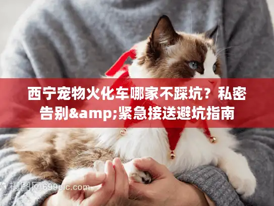 西宁宠物火化车哪家不踩坑？私密告别&紧急接送避坑指南