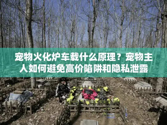 宠物火化炉车载什么原理？宠物主人如何避免高价陷阱和隐私泄露