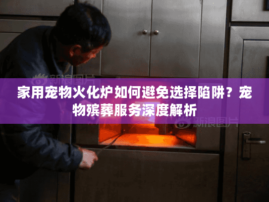 家用宠物火化炉如何避免选择陷阱？宠物殡葬服务深度解析