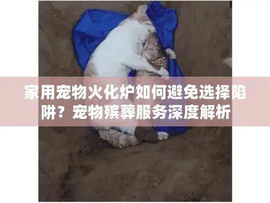 家用宠物火化炉如何避免选择陷阱？宠物殡葬服务深度解析