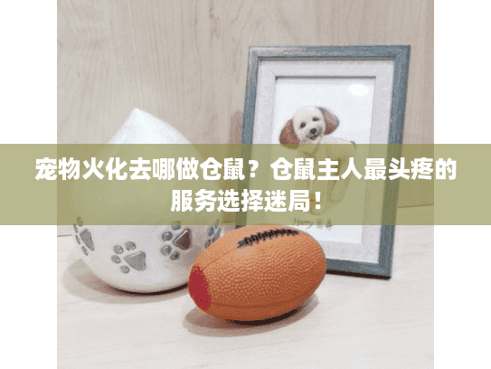 宠物火化去哪做仓鼠?仓鼠主人最头疼的服务选择迷局! 宠物火化去哪做仓鼠?仓鼠主人最头疼的服务选择迷局!