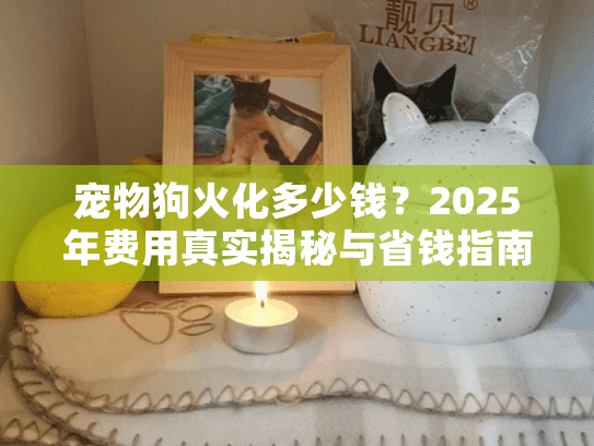 宠物狗火化多少钱？2025年费用真实揭秘与省钱指南