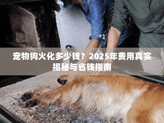 宠物狗火化多少钱？2025年费用真实揭秘与省钱指南