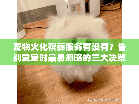 宠物火化殡葬服务有没有？告别爱宠时最易忽略的三大决策陷阱