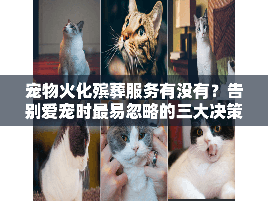 宠物火化殡葬服务有没有？告别爱宠时最易忽略的三大决策陷阱