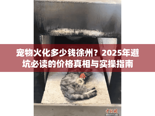 宠物火化多少钱徐州？2025年避坑必读的价格真相与实操指南