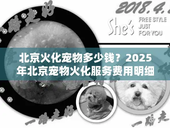 北京火化宠物多少钱？2025年北京宠物火化服务费用明细及选择指南