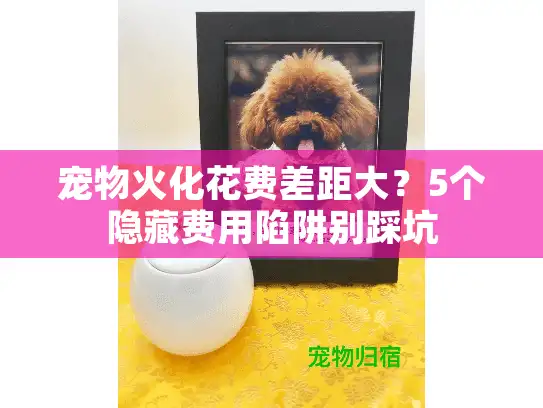 宠物火化花费差距大?5个隐藏费用陷阱别踩坑 宠物火化花费差距大?5个隐藏费用陷阱别踩坑