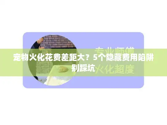 宠物火化花费差距大?5个隐藏费用陷阱别踩坑 宠物火化花费差距大?5个隐藏费用陷阱别踩坑