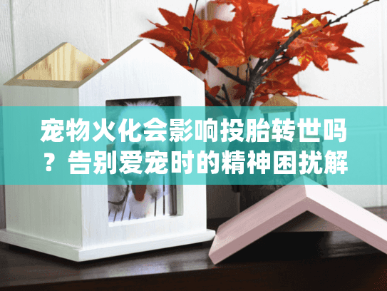 宠物火化会影响投胎转世吗？告别爱宠时的精神困扰解答与实用选择策略
