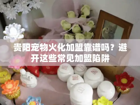 贵阳宠物火化加盟靠谱吗？避开这些常见加盟陷阱