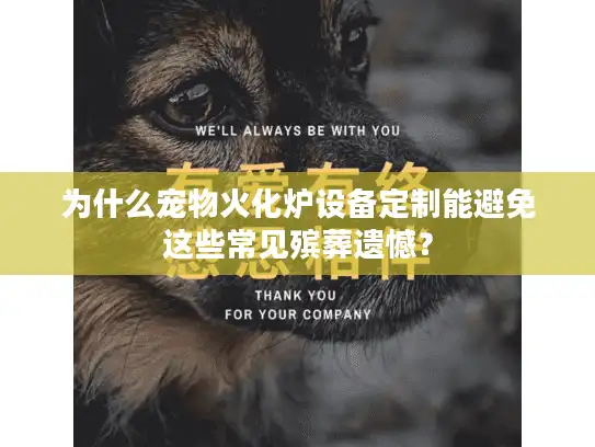 为什么宠物火化炉设备定制能避免这些常见殡葬遗憾? 为什么宠物火化炉设备定制能避免这些常见殡葬遗憾?