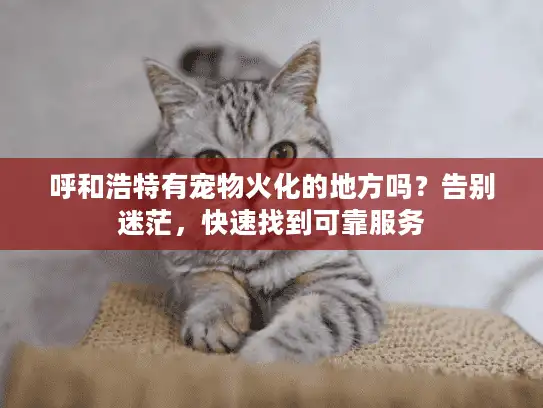 呼和浩特有宠物火化的地方吗?告别迷茫,快速找到可靠服务 呼和浩特有宠物火化的地方吗?告别迷茫,快速找到可靠服务