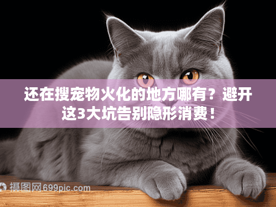 还在搜宠物火化的地方哪有？避开这3大坑告别隐形消费！