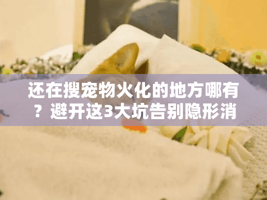 还在搜宠物火化的地方哪有？避开这3大坑告别隐形消费！
