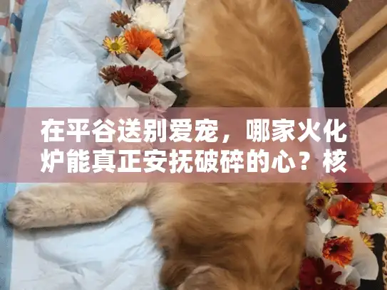 在平谷送别爱宠，哪家火化炉能真正安抚破碎的心？核心关键词，北京市平谷区宠物火化炉推荐）