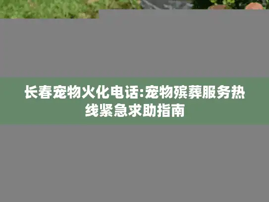 长春宠物火化电话:宠物殡葬服务热线紧急求助指南