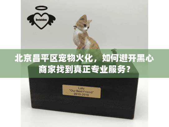 北京昌平区宠物火化，如何避开黑心商家找到真正专业服务？