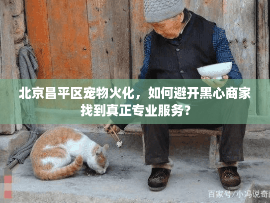 北京昌平区宠物火化，如何避开黑心商家找到真正专业服务？
